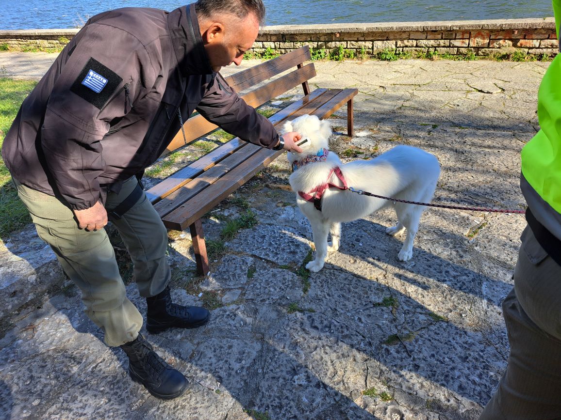 Έλεγχοι τσιπ στα δεσποζόμενα ζώα από τη Δημοτική Αστυνομία Ιωαννίνων