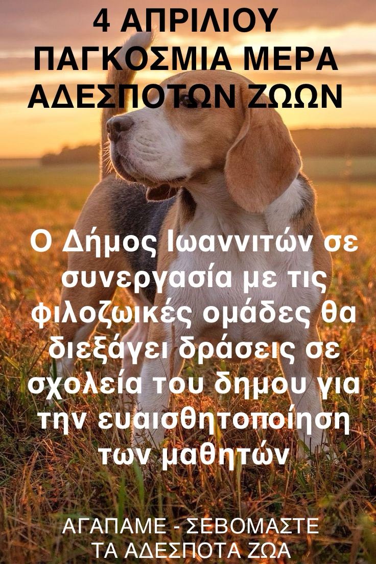 Ο δήμος Ιωαννιτών συμμετέχει ενεργά στην παγκόσμια ημέρα αδέσποτων